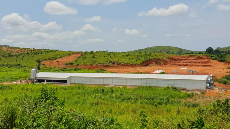 A Major Poultry Achievement in Congo-Brazzaville