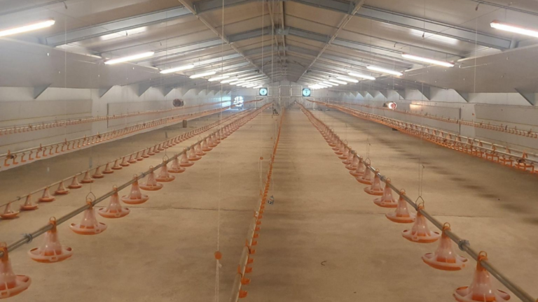A New Step Forward for Poultry Farming in Mali !