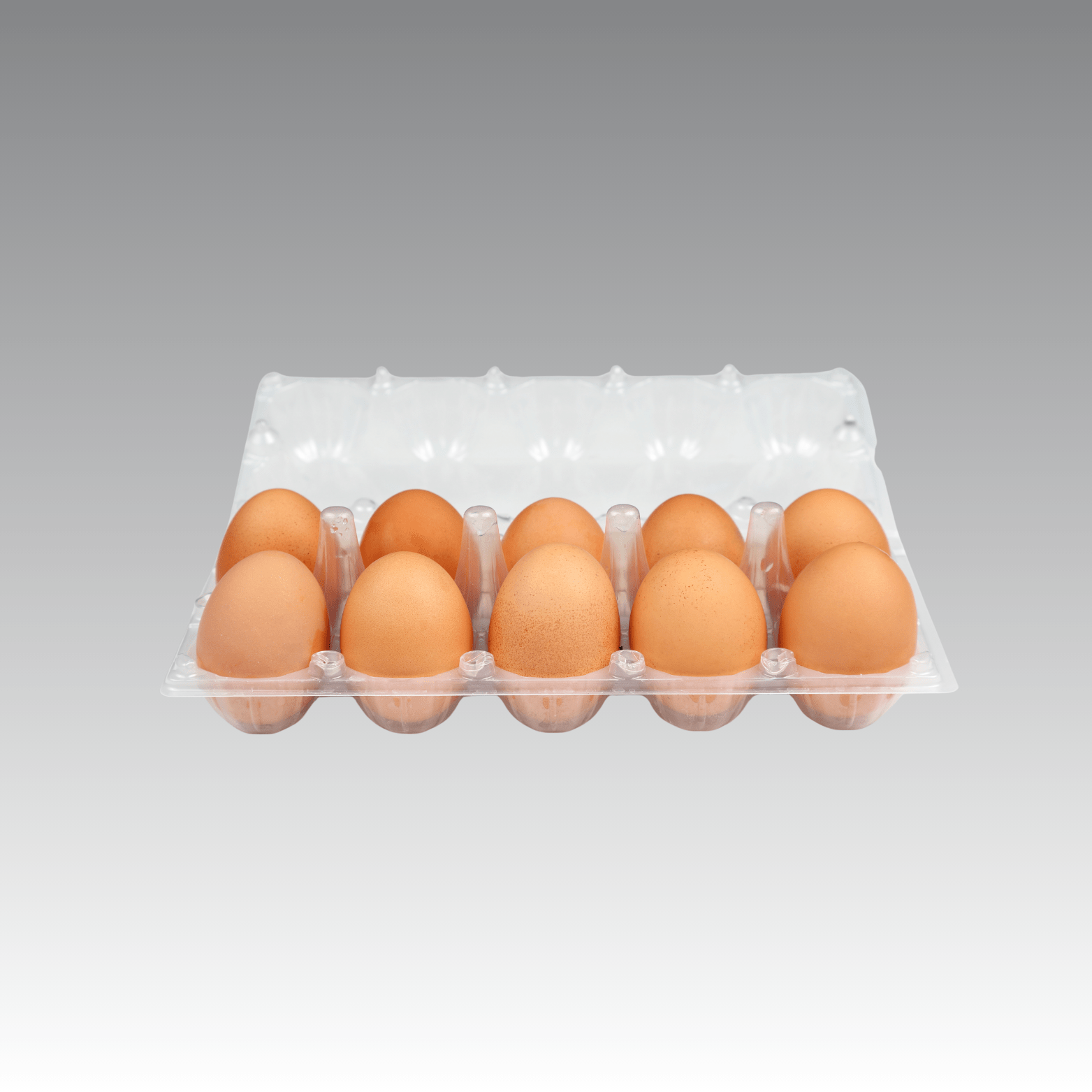 Boîtes à œufs plastique
