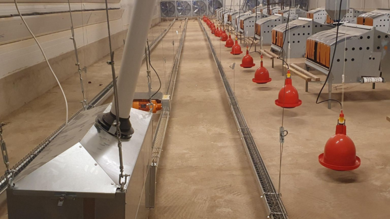 A Modern Breeding Building for Maximum Performance in Mali