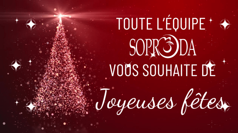 Soproda Vous Souhaite de Merveilleuses Fêtes de Fin d’Année !