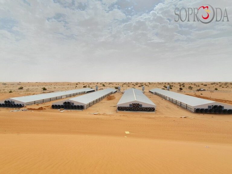 Mauritania : A Large-Scale Poultry Project Underway