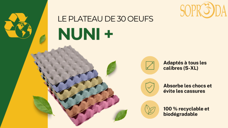 Plateau NUNI+ : La Solution Idéale pour le Transport et le Conditionnement de Vos Oeufs !