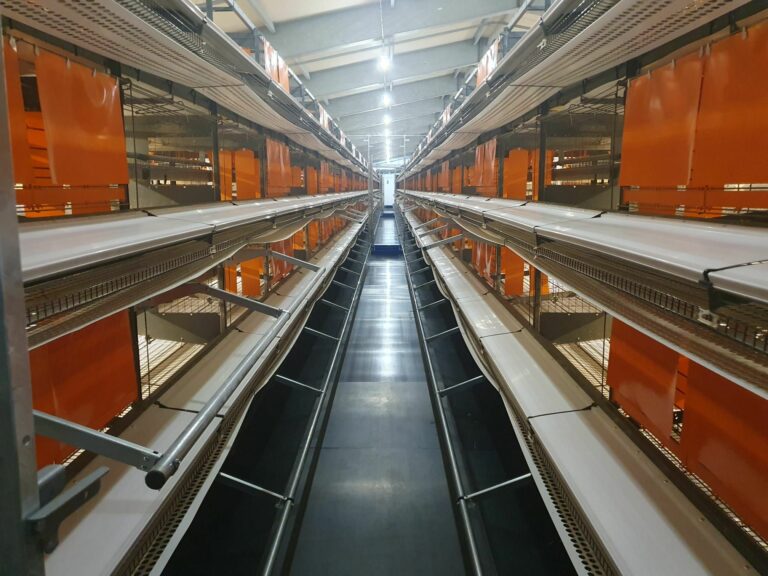 A Successful Renovation in Mayotte : Modernization and Performance for Our Customers !