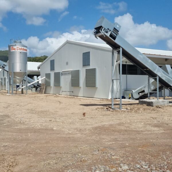 Un projet avicole BIO en Martinique : Soproda…