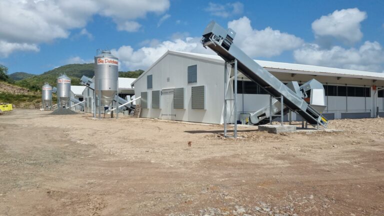 An organic poultry project in Martinique : Soproda delivers 5 state-of-the-art buildings