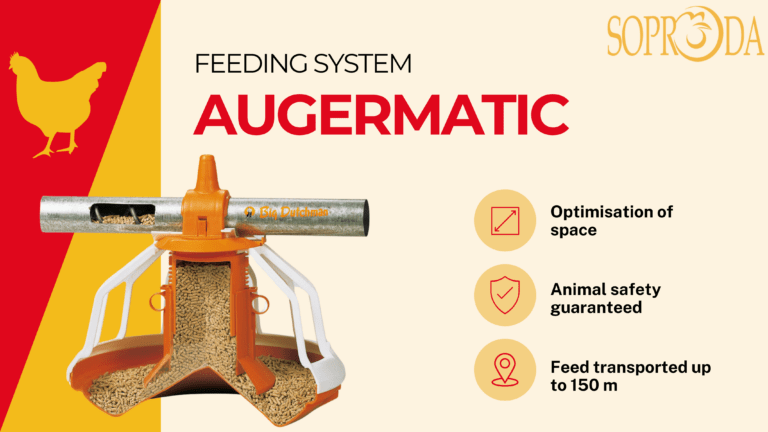 AugerMatic and BigPan330 : The Essential Poultry Feeding Duo