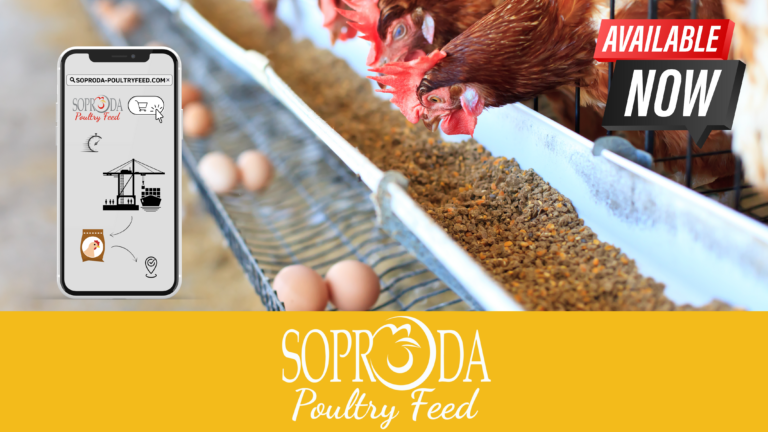 Discover the New Soproda Poultry Feed Website