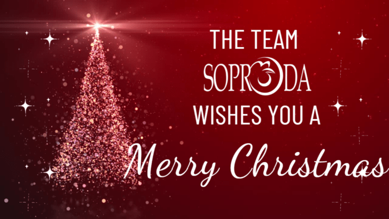 Soproda Wishes You a Merry Christmas !
