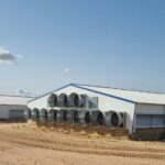 Modern solutions tailored to West African broiler breeders