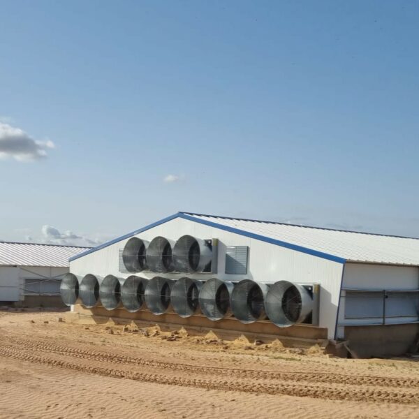 Modern solutions tailored to West African broiler breeders