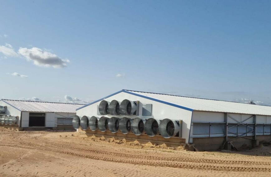 Modern solutions tailored to West African broiler breeders