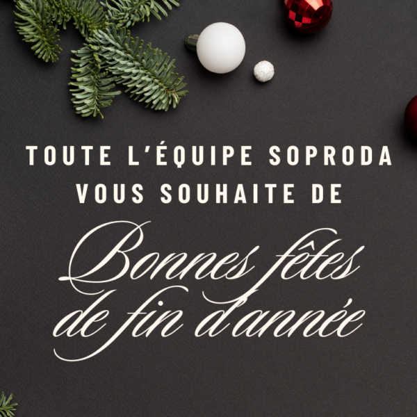 Soproda vous souhaite de Joyeuses Fêtes de fin…