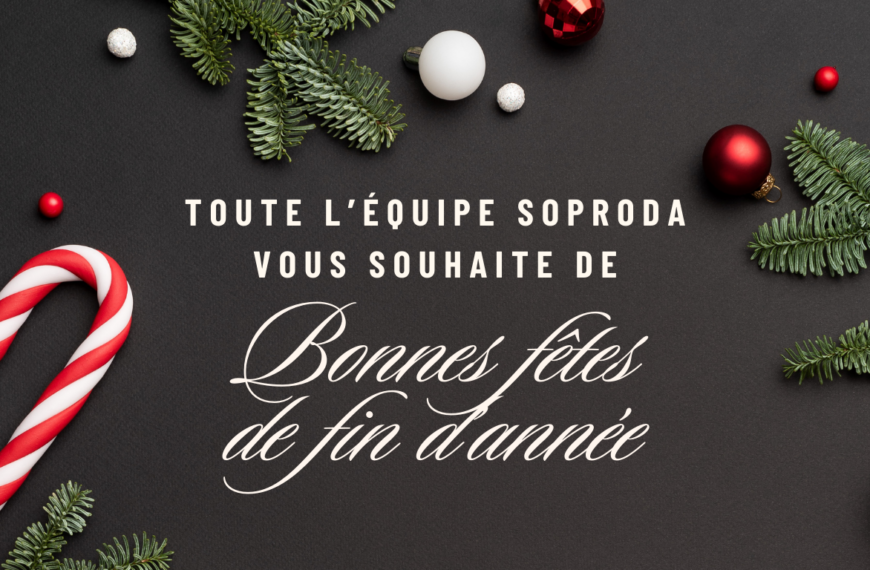 Soproda vous souhaite de Joyeuses Fêtes de fin…