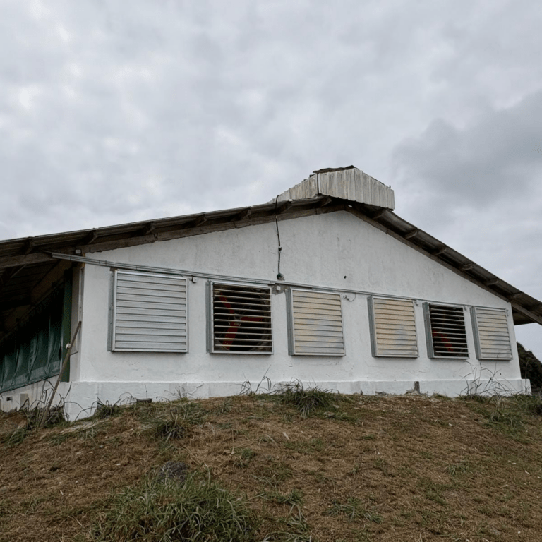 Modernisation au Gabon : installation d&rsquo;une ventilation tunnel dans un bâtiment de reproducteurs ponte