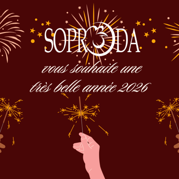 SOPRODA vous présente ses vœux et sa vision…