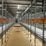 Renovation of a laying hen house in Mayotte with equipment adapted to tropical climates