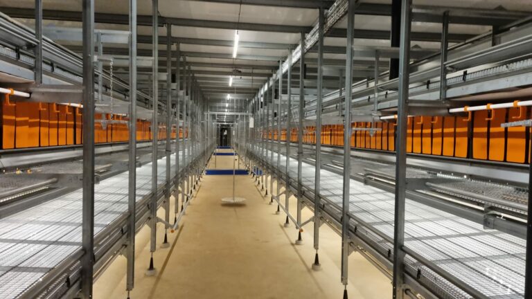 Renovation of a laying hen house in Mayotte with equipment adapted to tropical climates