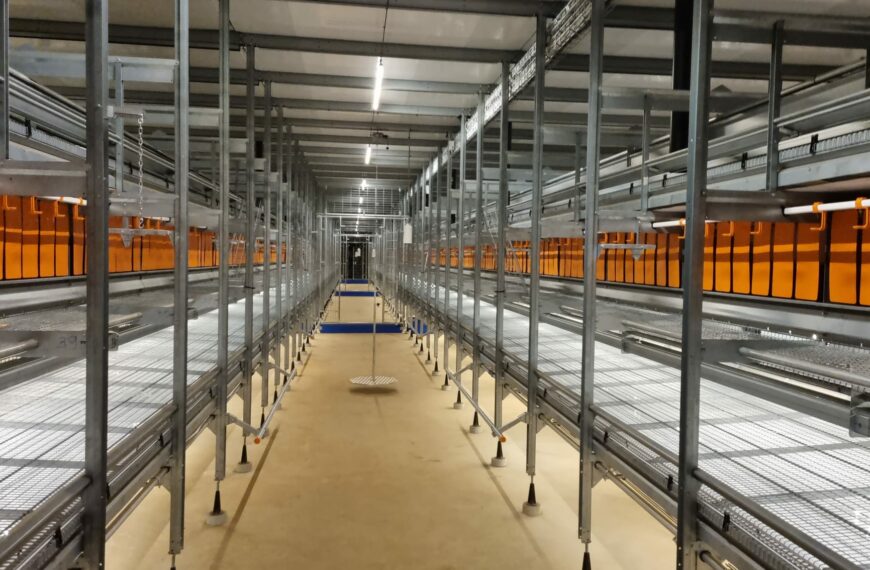 Renovation of a laying hen house in Mayotte&hellip;