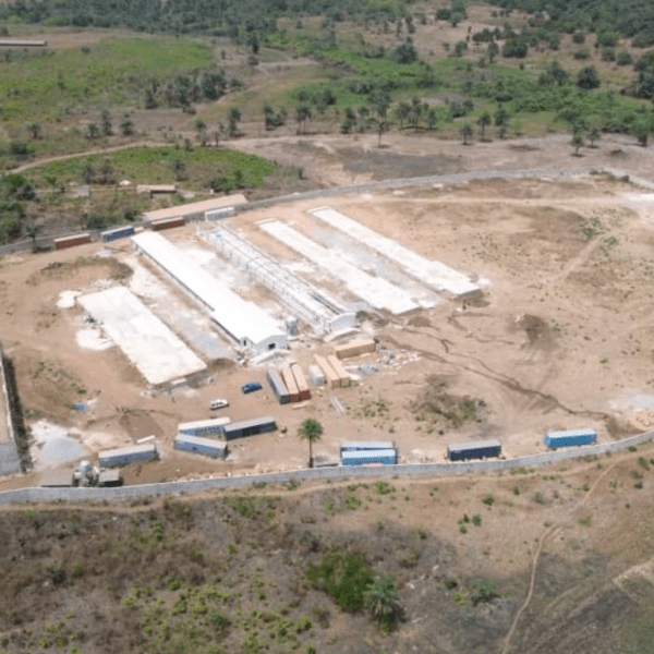 SOPRODA Supports a Large-Scale Poultry Project in Guinea